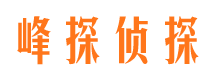 柳林小三调查